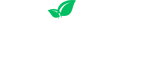 paychecks for life report 200